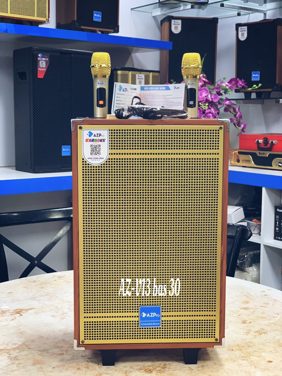 Loa Kéo AZ-V13 Vàng Bas30 - Điện Máy Plus