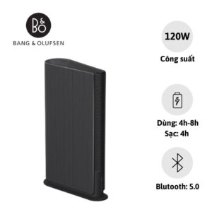 Loa Bang & Olufsen Beosound Emerge