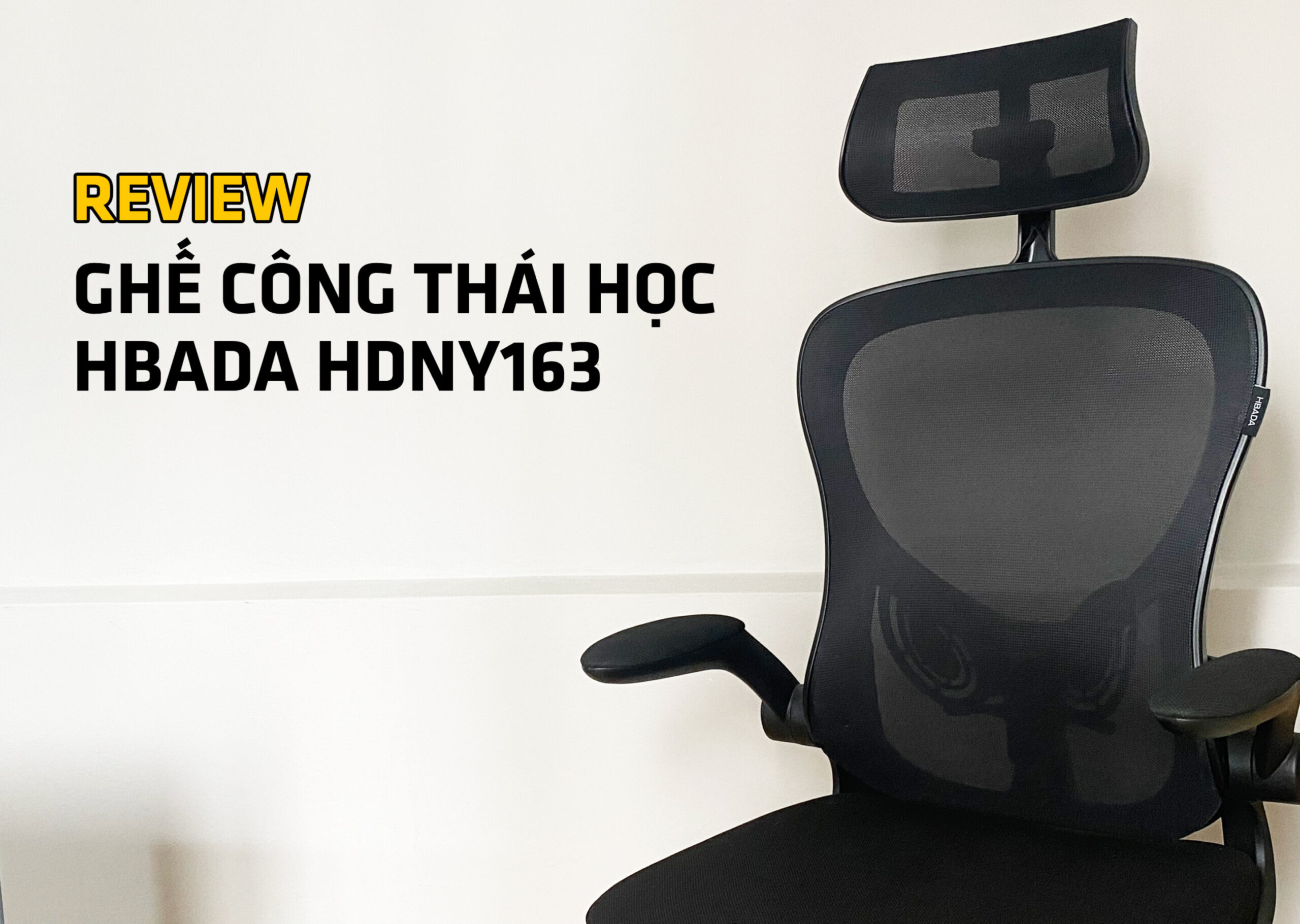 Ghế Công Thái Học HBADA HDNY163 Xoay Văn Phòng Cao Cấp - Điện Máy Plus