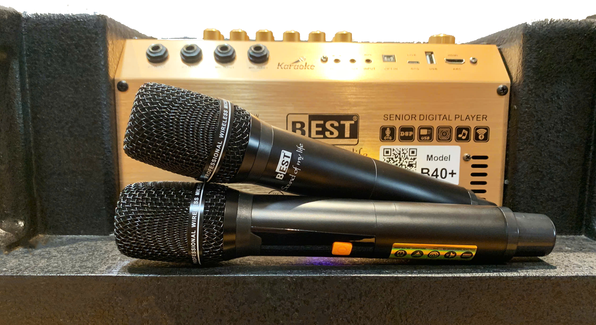 LOA KÉO KARAOKE DI ĐỘNG BEST B40+ - Điện Máy Plus