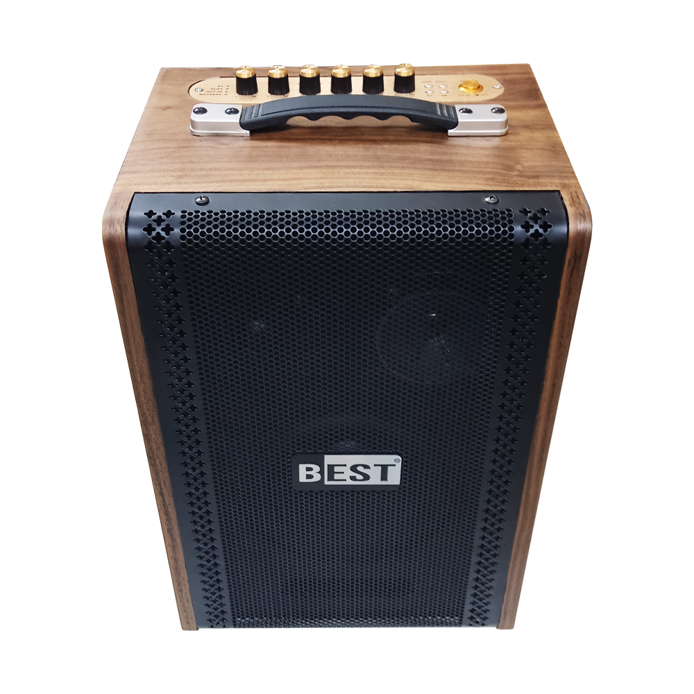 Loa BEST M1 (Bass 8 Inch, 200W) - Điện Máy Plus