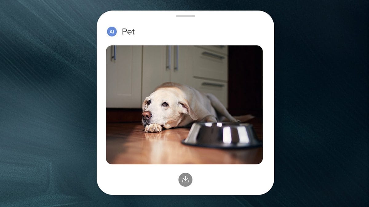Robot hút bụi Roborock S8 MaxV Ultra - Điện Máy Plus