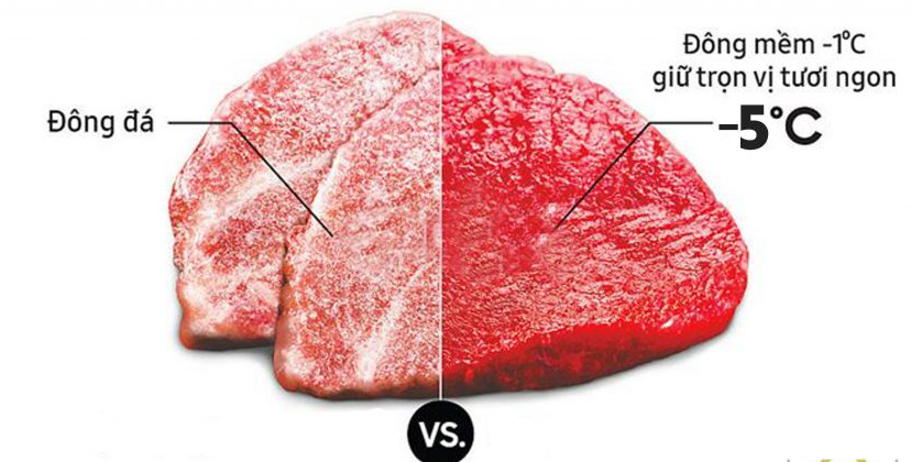 Tủ đông mềm Kangaroo KG268DM1 chính hãng Tủ đông mềm Kangaroo KG268DM1 - Điện Máy Plus