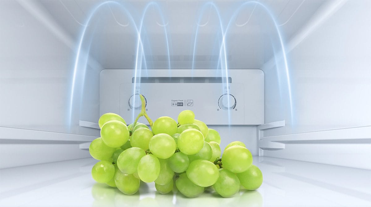 Tủ lạnh Xiaomi Mijia 186L, 2 cửa, thiết kế mỏng, tiết kiệm điện - Điện Máy Plus