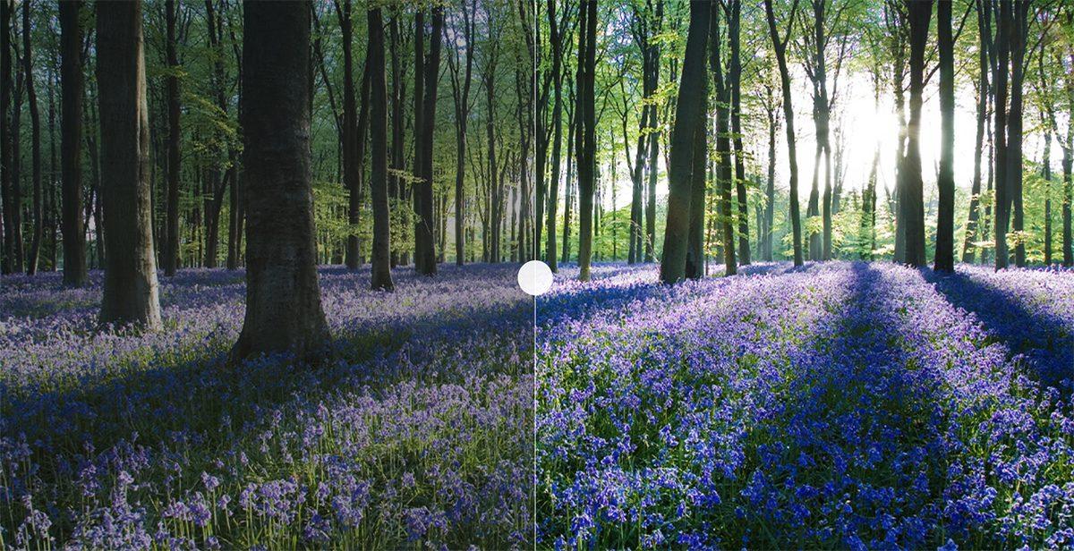 Tivi Xiaomi S 75 Mini LED 75 Inch 240Hz Ram 4/64GB chính hãng Tivi Xiaomi S 75 Mini LED 75 Inch 240Hz Ram 4/64GB - Điện Máy Plus