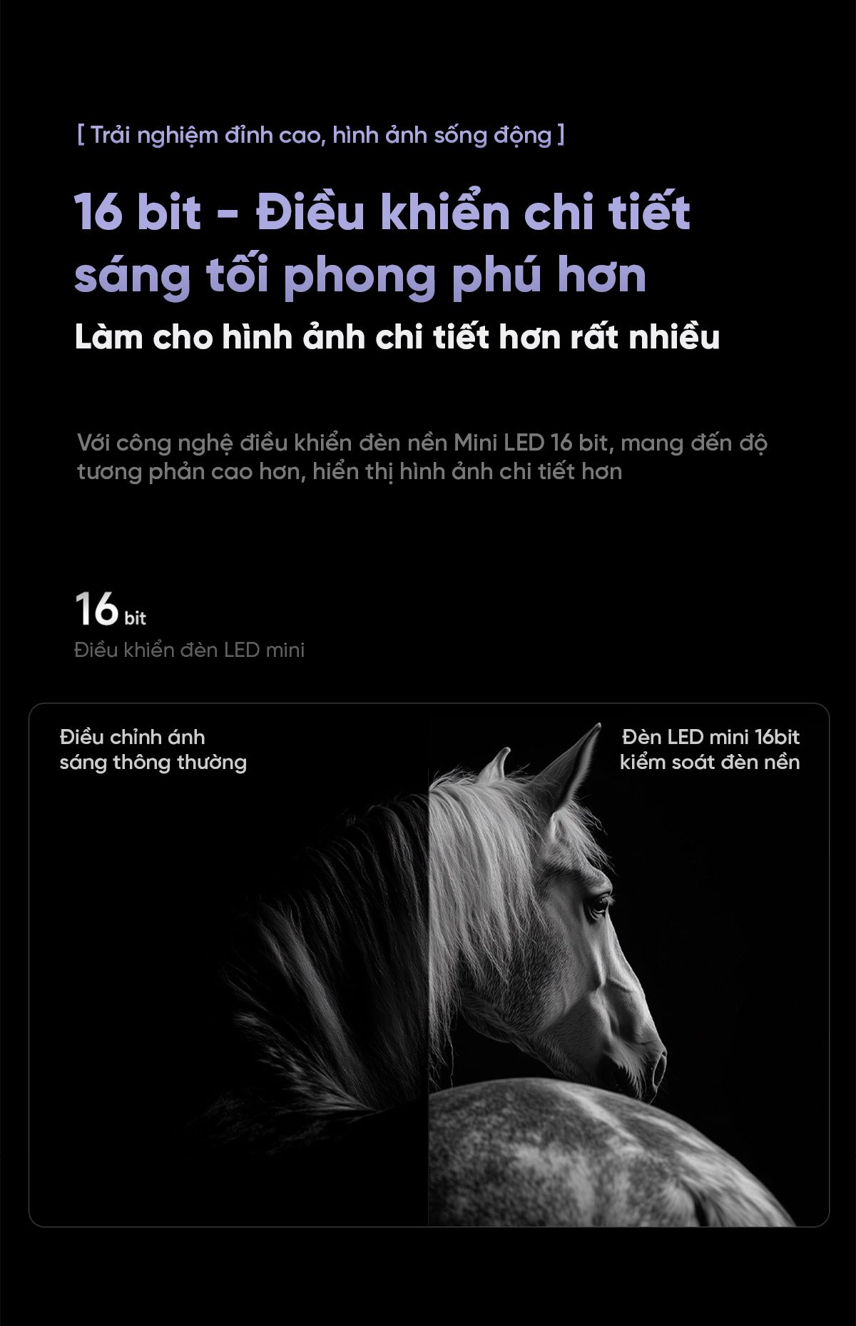 Tivi Xiaomi S Pro 85 Mini LED 85Inch 2025 Nội Địa – Tần Số quét 240Hz Ram 4/64GB - Điện Máy Plus