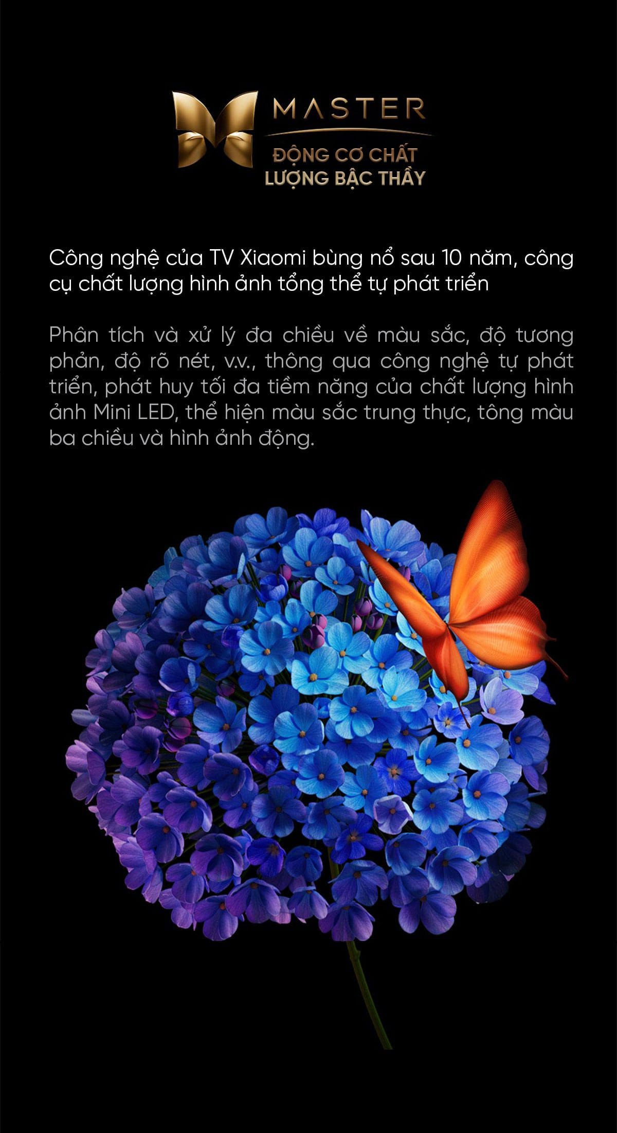 Tivi Xiaomi S 85 Mini LED 85 Inch 240Hz Ram 4/64GB - Điện Máy Plus