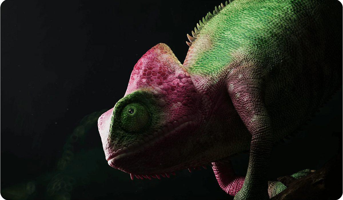 Tivi Xiaomi S Mini LED 55 Inch 2025 Bản Quốc Tế - Điện Máy Plus