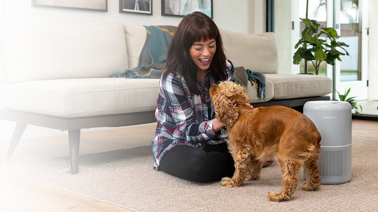 Levoit Core P350 máy lọc không khí diện tích 20 m² chính hãng Levoit Core P350 máy lọc không khí diện tích 20 m² - Điện Máy Plus