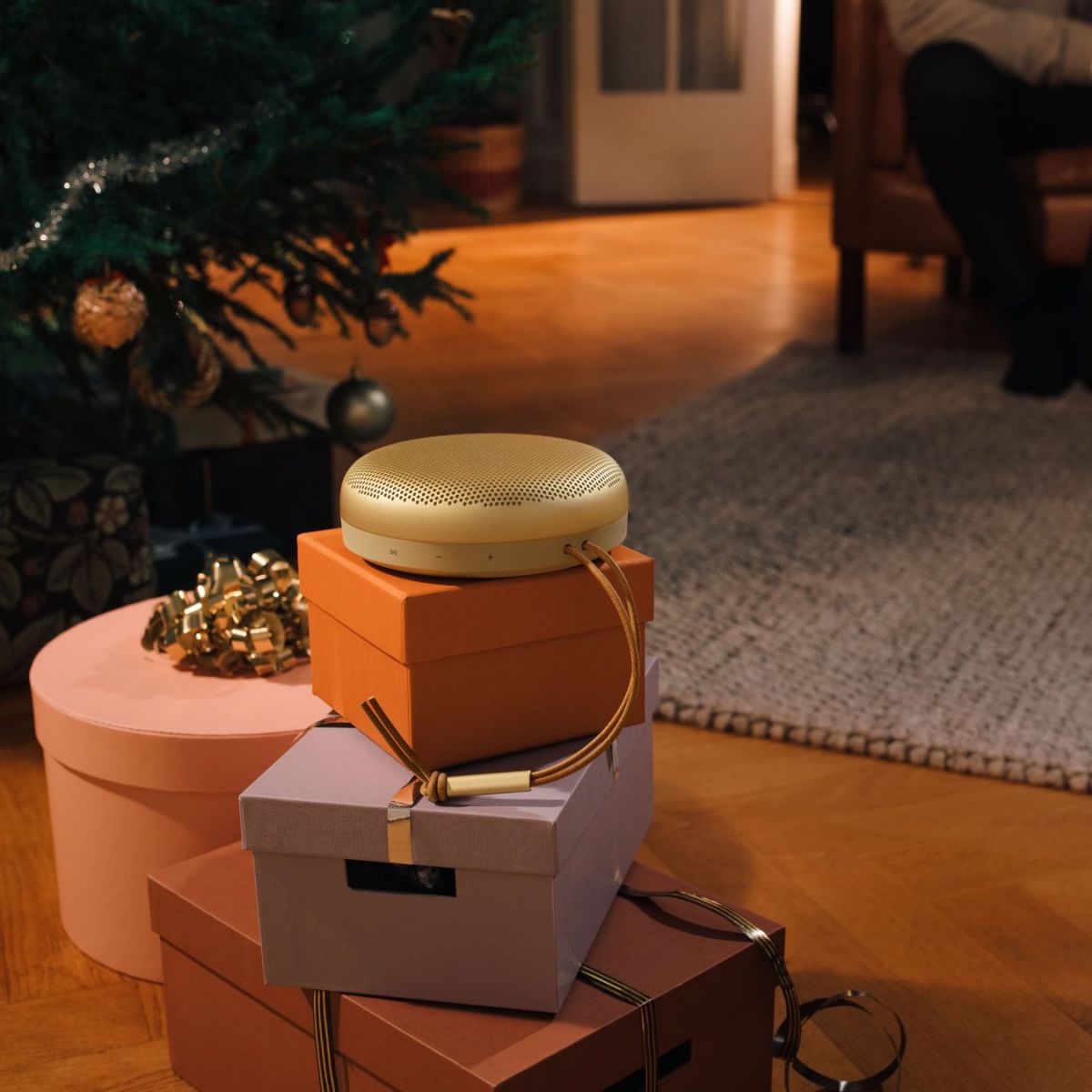 Loa Bang & Olufsen Beosound A1 2nd Gen chính hãng Loa Bang & Olufsen Beosound A1 2nd Gen - Điện Máy Plus