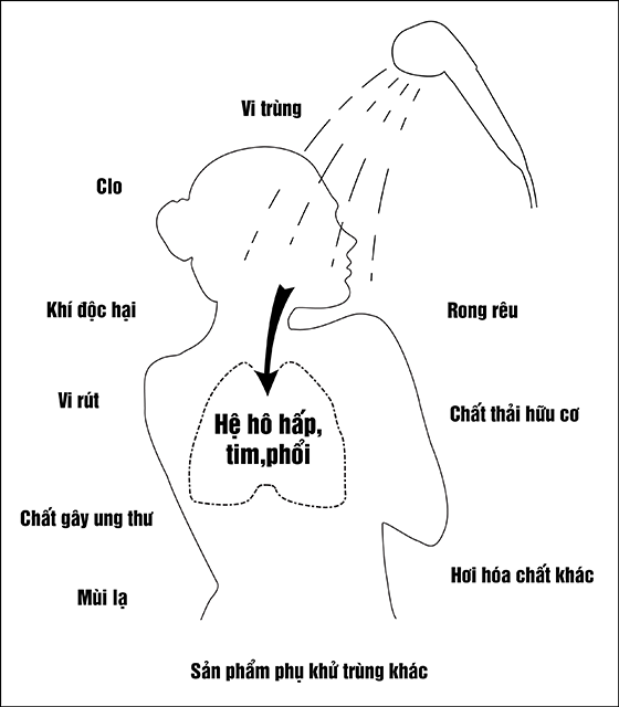 Bộ lọc tổng Kangaroo 4 cấp KG1054LT-4 van tự động 1000l/h siêu lọc - Điện Máy Plus