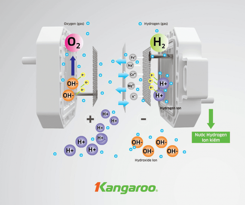 Máy lọc nước Kangaroo Hydrogen ion Kiềm KG-Y1MED - Điện Máy Plus