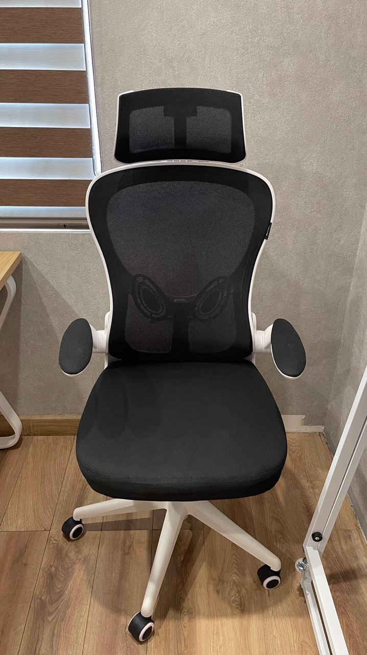 Ghế Công Thái Học HBADA HDNY163 Xoay Văn Phòng Cao Cấp - Điện Máy Plus