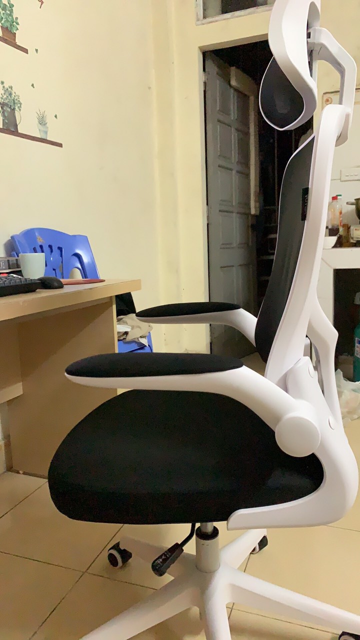 Ghế Công Thái Học HBADA HDNY163 Xoay Văn Phòng Cao Cấp - Điện Máy Plus