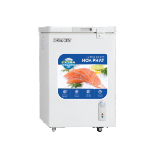 Tủ đông mini Hòa Phát HPF AN6107 107 lít
