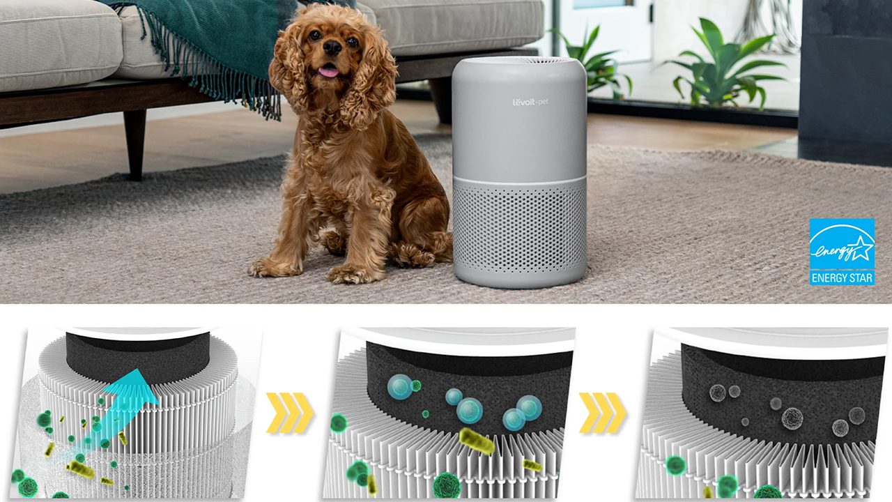 Levoit Core P350 máy lọc không khí diện tích 20 m² chính hãng Levoit Core P350 máy lọc không khí diện tích 20 m² - Điện Máy Plus