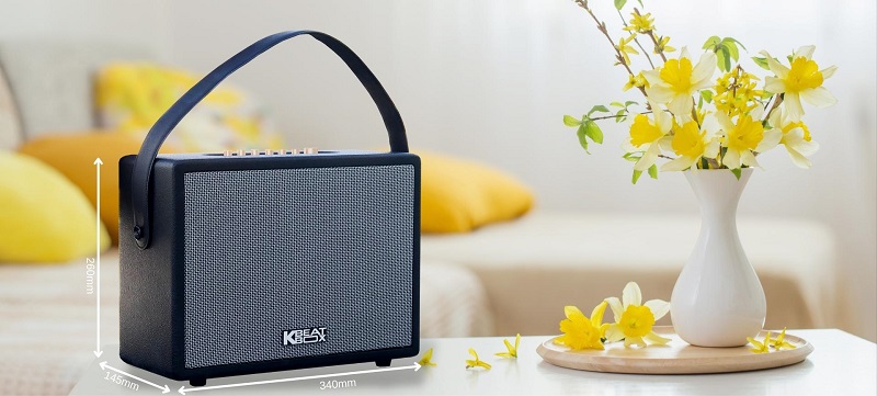 Loa Xách Tay Acnos CS270-Bass 15 - Điện Máy Plus