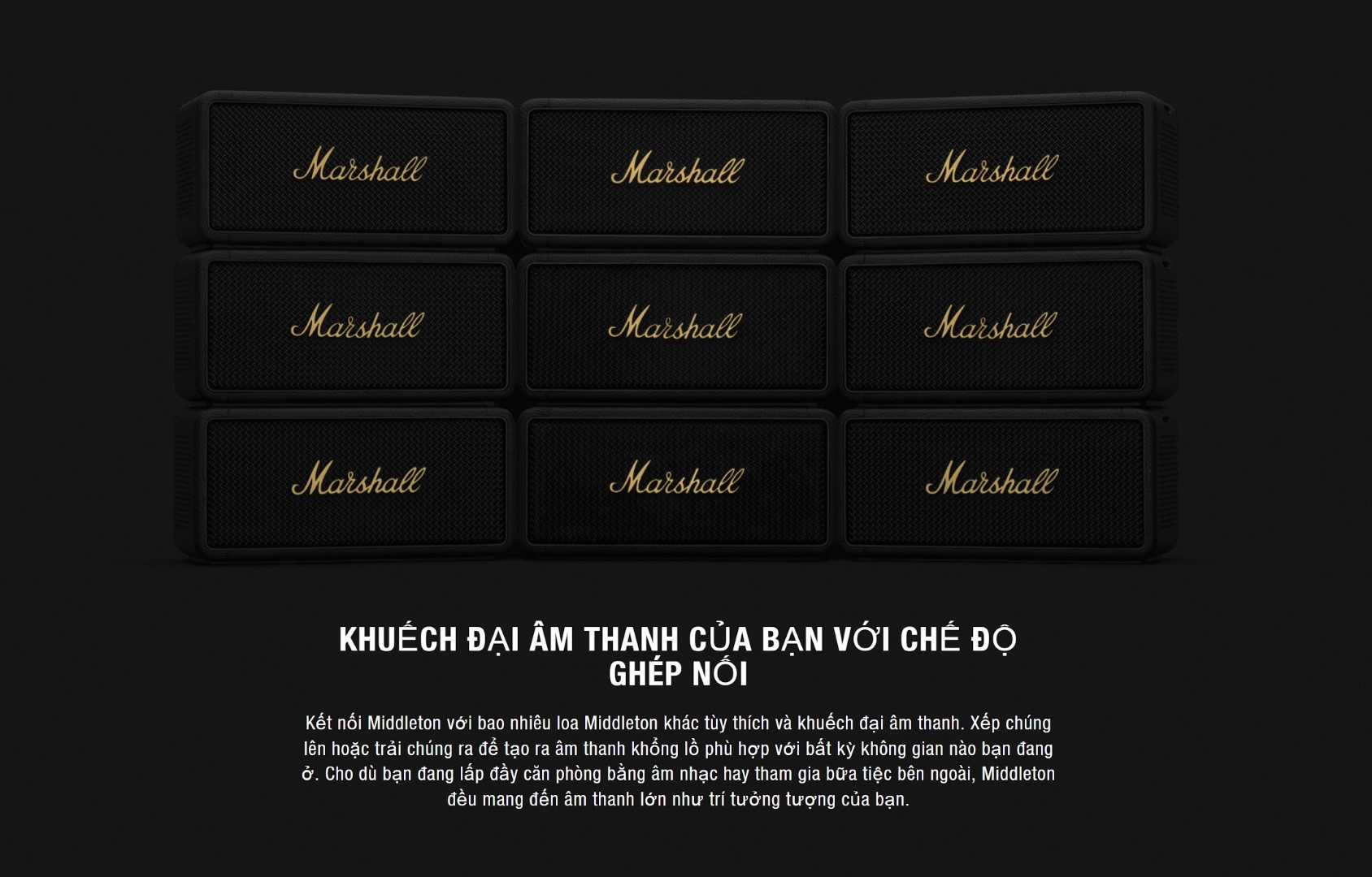 LOA MARSHALL MIDDLETON - Điện Máy Plus