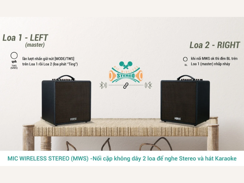 Loa Xách Tay Acnos QUAD 64 - Điện Máy Plus