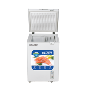 Tủ đông mini Hòa Phát HCF 106S1Đ1 107 lít