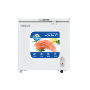 Tủ đông Hòa Phát HPF AD6162 162 lít