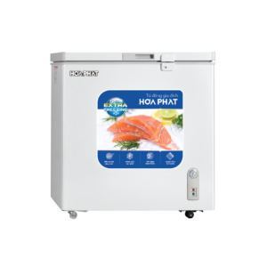 Tủ đông Hòa Phát HPF AN6162 162 lít